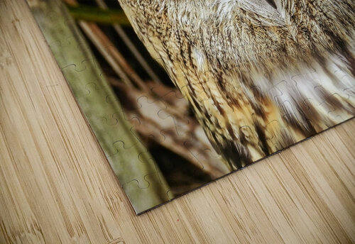 Owl Marty Ma puzzle
