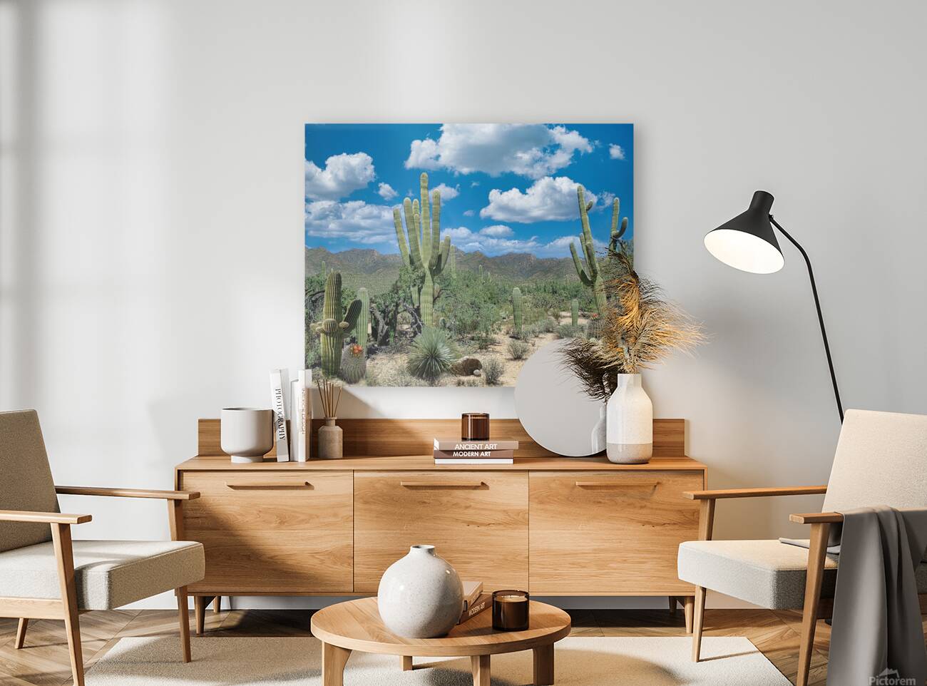 AZ Cactus Scene Reproduction