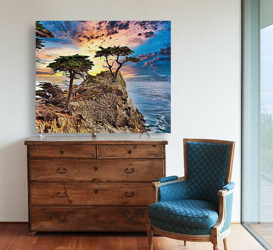 Cypress Tree Reproduction