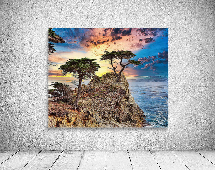 Cypress Tree Wall Preview