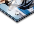 A Canine Journey through the Snow-Covered Forest 1 Acrylic print