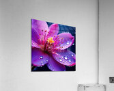 A Close-Up of a Radiant Purple Flower Blooming in the Soft Glow of Morning Light 7 Acrylic Print