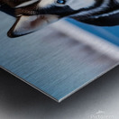 A Canine Journey through the Snow-Covered Forest 1 Metal print