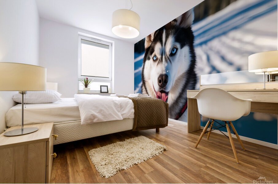 A Canine Journey through the Snow-Covered Forest 3 Mural print