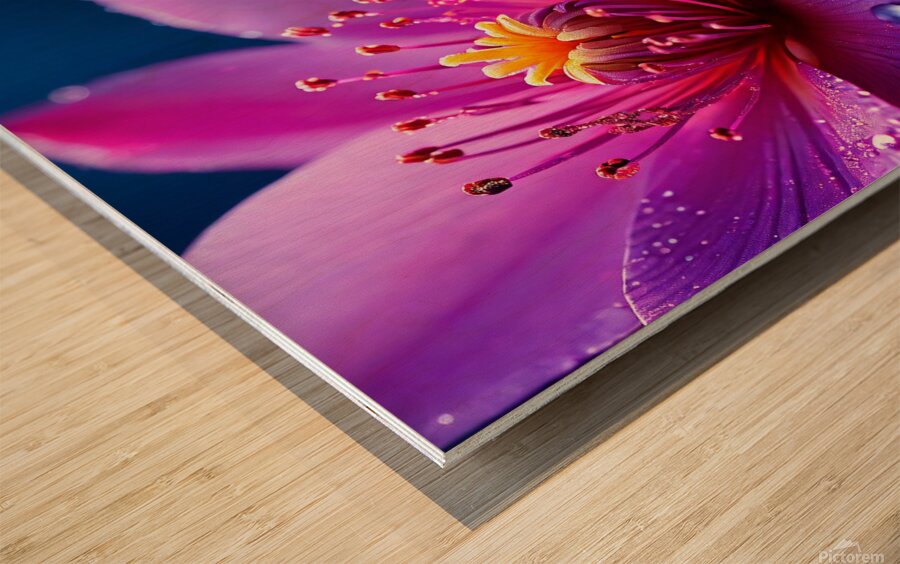 A Close-Up of a Radiant Purple Flower Blooming in the Soft Glow of Morning Light 7 Wood print