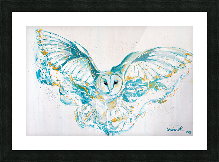 Barn Owl Picture Frame print