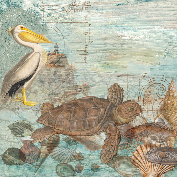 Pelican meet Turtle Digital Download
