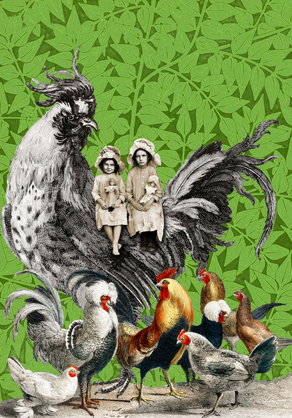 Hens and Friends Digital Download