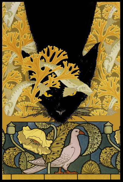 Ninja Cat   Digital Download