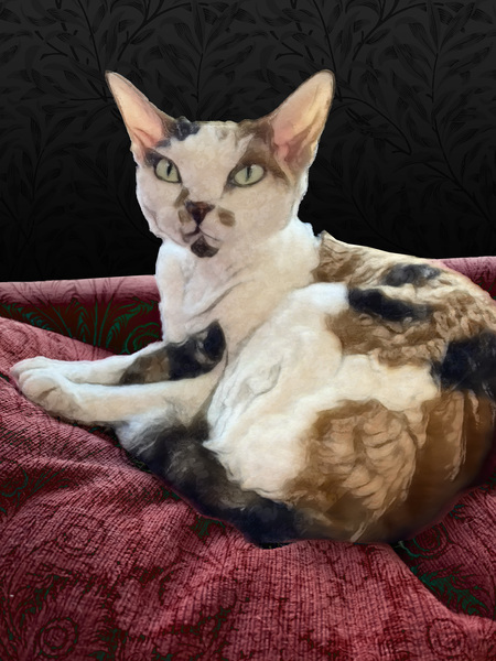 Cheesecake Digital Download