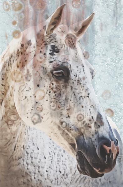 Queen Digital Download