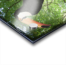 Birdie Acrylic print