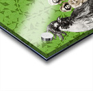 Hens and Friends Acrylic print