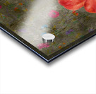 Poppy Snail 2 Acrylic print