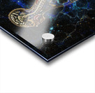Anatomical Cubensis Acrylic print