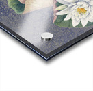 Lotus Acrylic print
