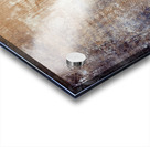 Etched Window Horse 2 Acrylic print