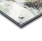 Wavy Horse Acrylic print