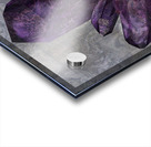 CRYSTAL Acrylic print