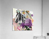 Horse Stilo   Acrylic Print