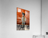 Dandy Acrylic Print