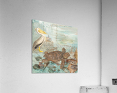 Pelican meet Turtle Acrylic Print