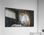 Etched Horse Acrylic Print