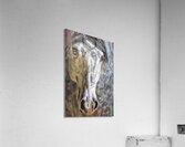 Intimate Horse  Acrylic Print