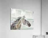 Wavy Horse Acrylic Print