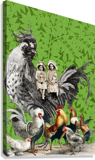 Hens and Friends Canvas Print
