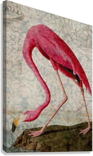 Florida Flamingo Canvas Print