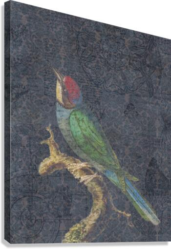 Song Bird Canvas Print