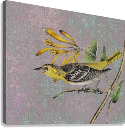 Curious Yellow Bird Canvas Print