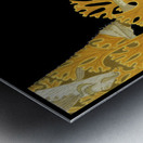 Ninja Cat   Metal print