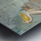 Pelican meet Turtle Metal print