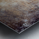 Etched Window Horse 2 Metal print