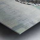 Wavy Horse Metal print