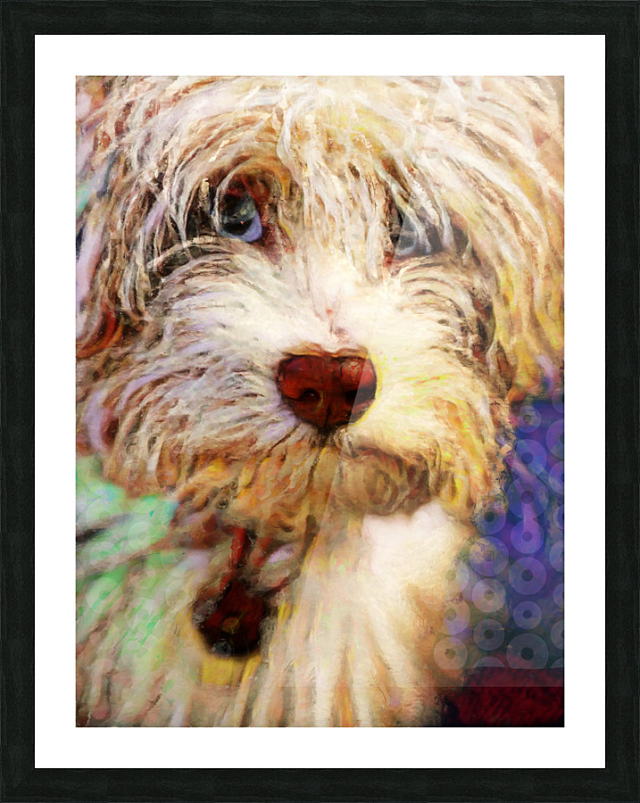 Arturo Picture Frame print