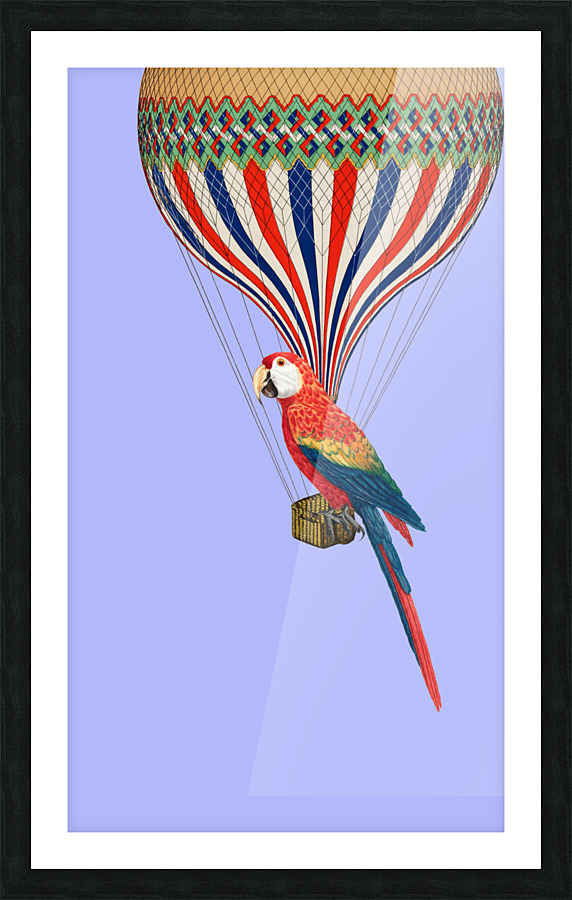 Parrot Picture Frame print