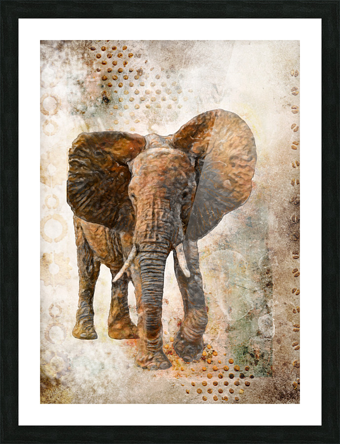 Elephant Picture Frame print