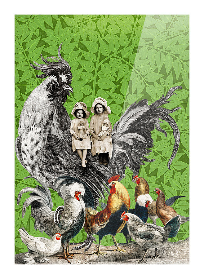 Hens and Friends Picture Frame print