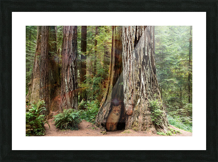 Enchanted Forest Picture Frame print
