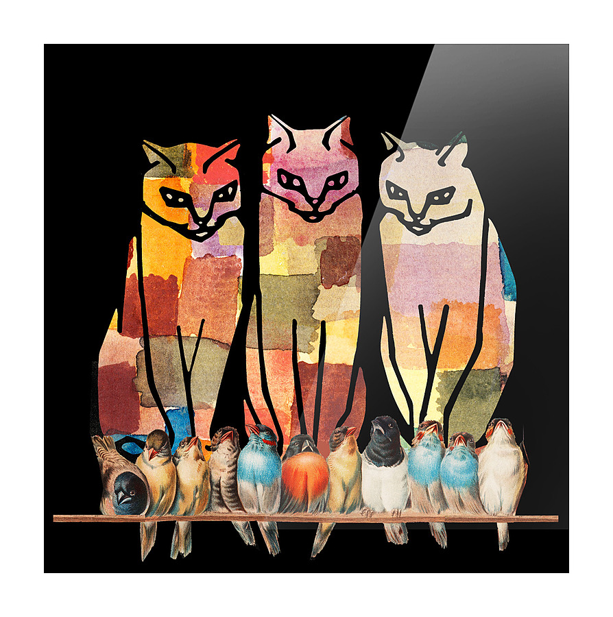 3 Cats    Picture Frame print