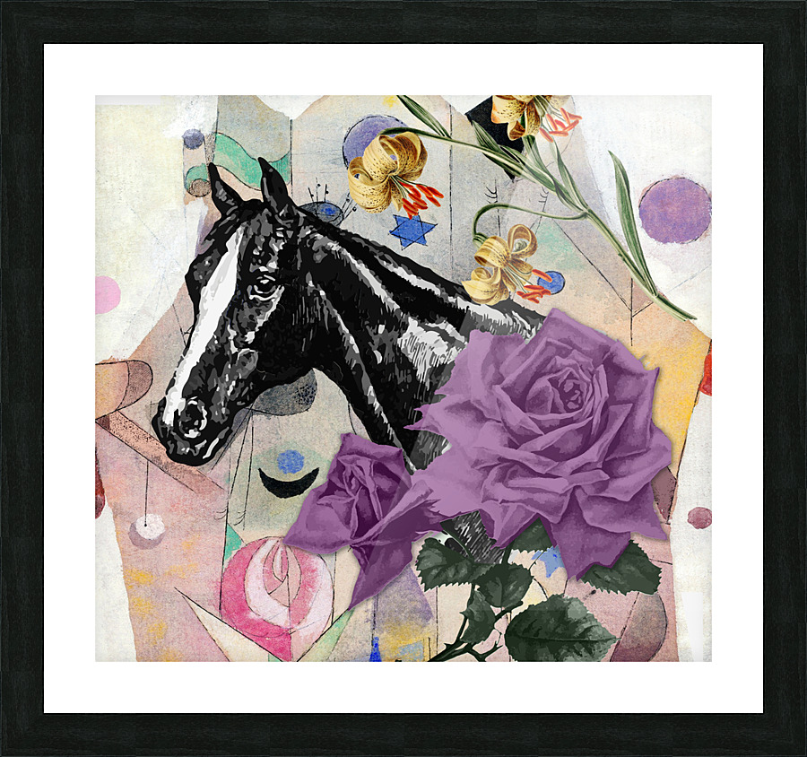 Horse Stilo   Picture Frame print