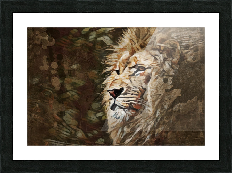 Lion Picture Frame print