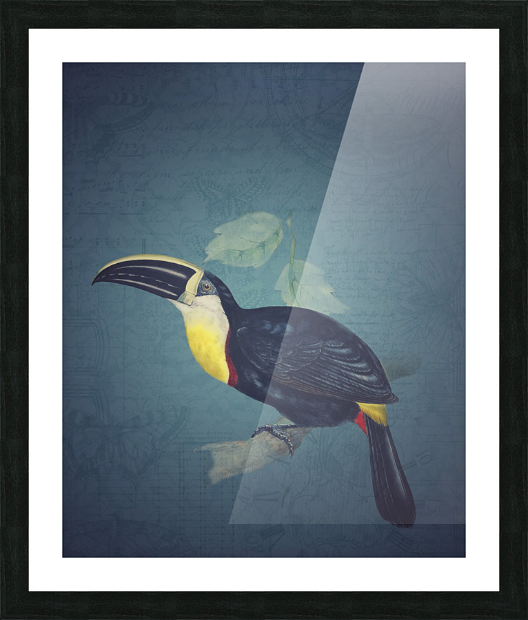 Toucan Picture Frame print
