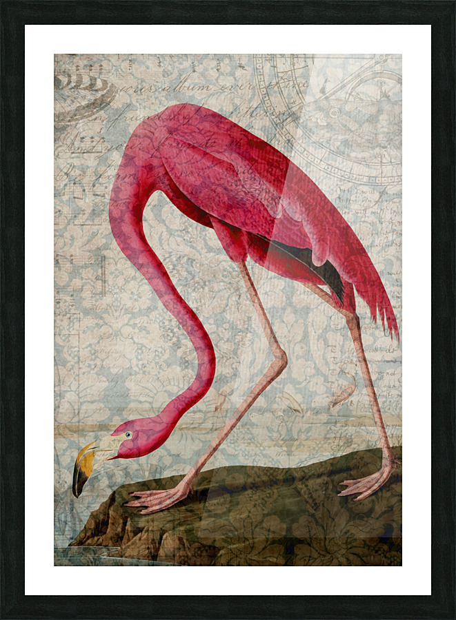 Florida Flamingo Picture Frame print