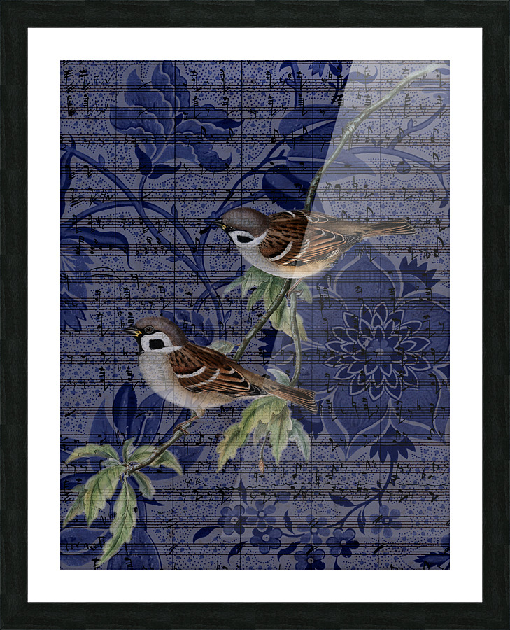 Sparrow 3 Picture Frame print