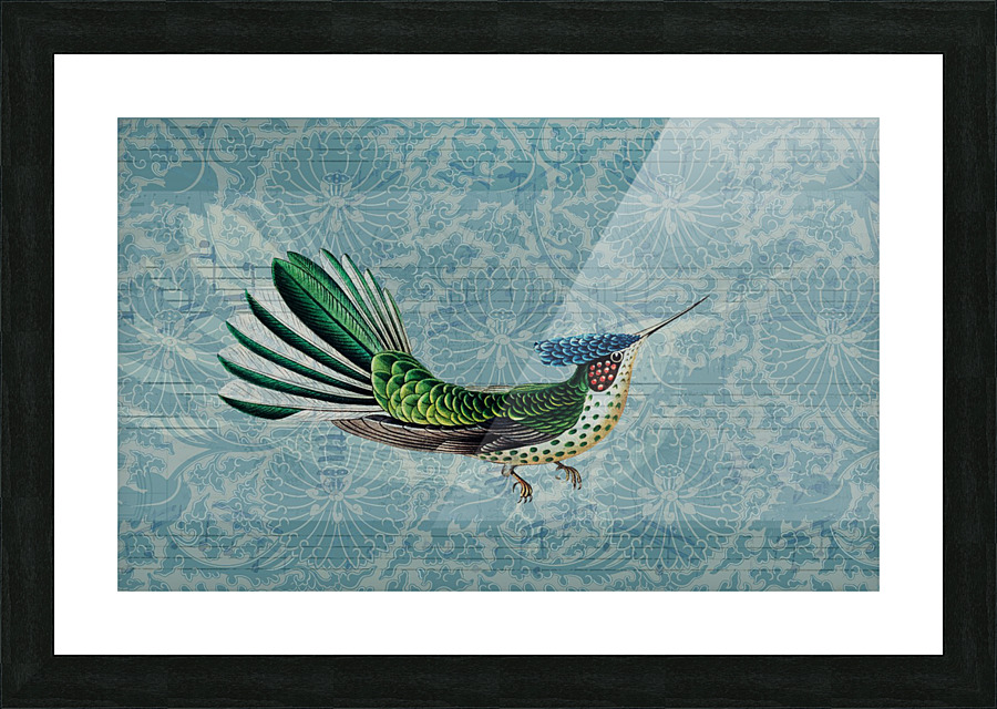 Hummingbird Picture Frame print