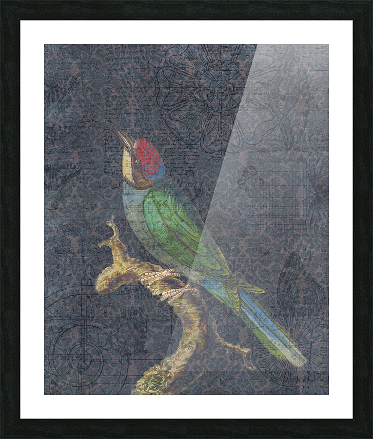 Song Bird Picture Frame print